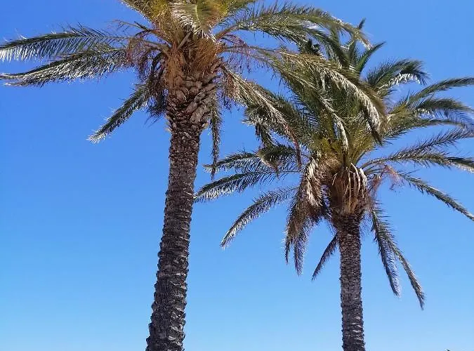 Casa Azul Deluxe E Superior Διαμέρισμα Σαν Βίτο λο Κάπο